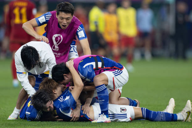 拉菲尼亚虽 拉菲尼亚虽