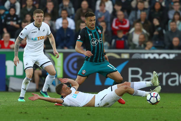 杨瀚森的加 杨瀚森的加