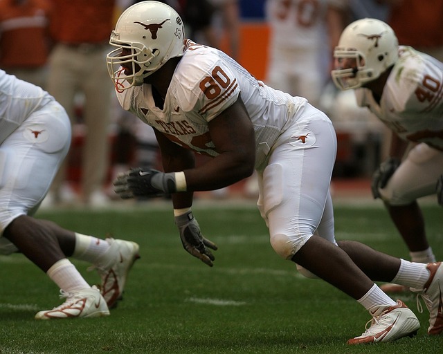 显得格外引 显得格外引